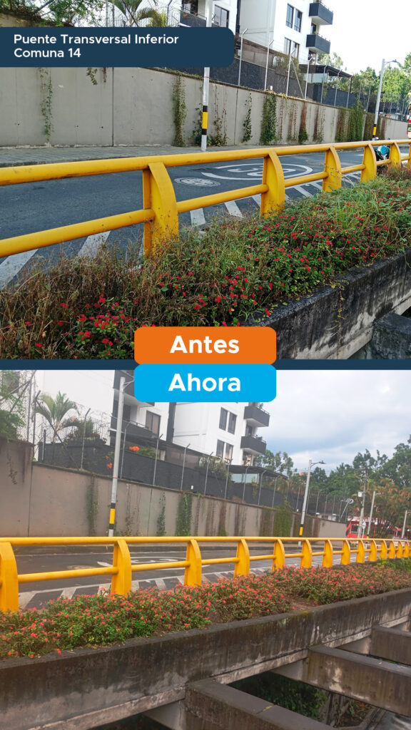 Puente Transversal Inferior