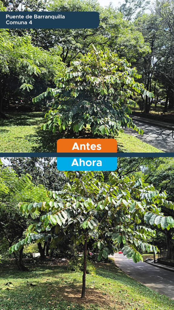 Puente de Barranquilla