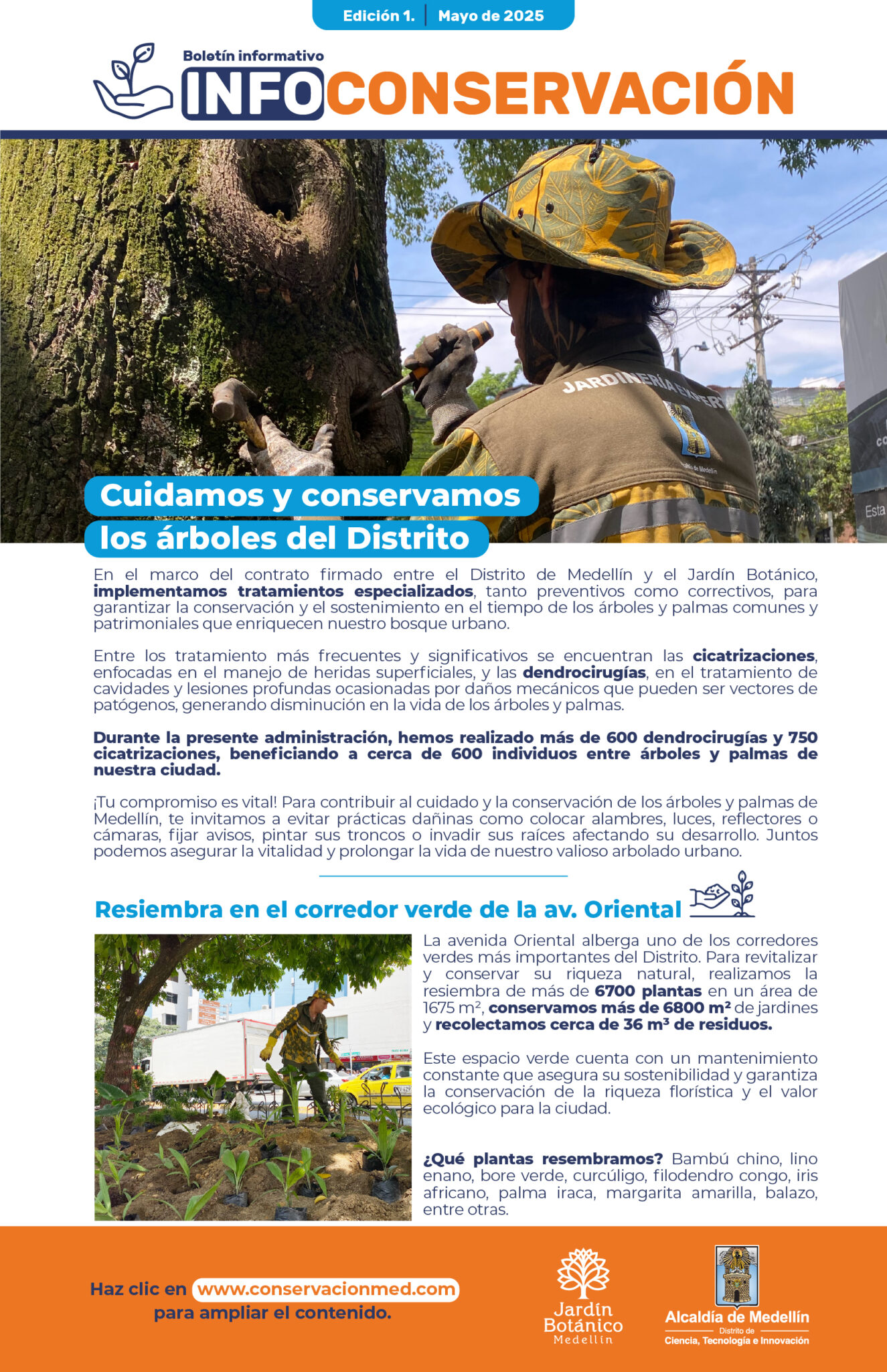 InfoConservación Ed.1 - Mayo