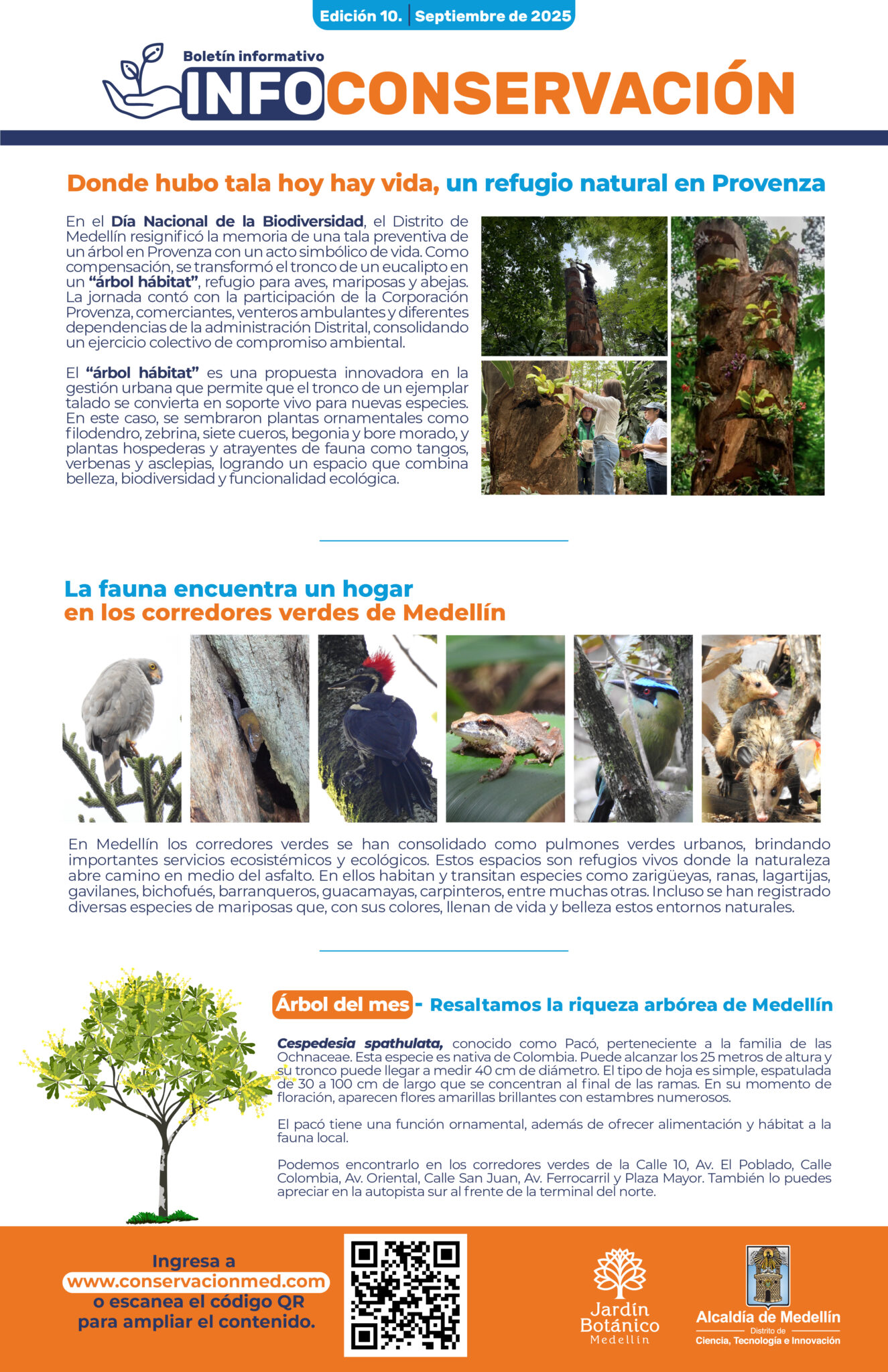 InfoConservación Ed.10 - Septiembre