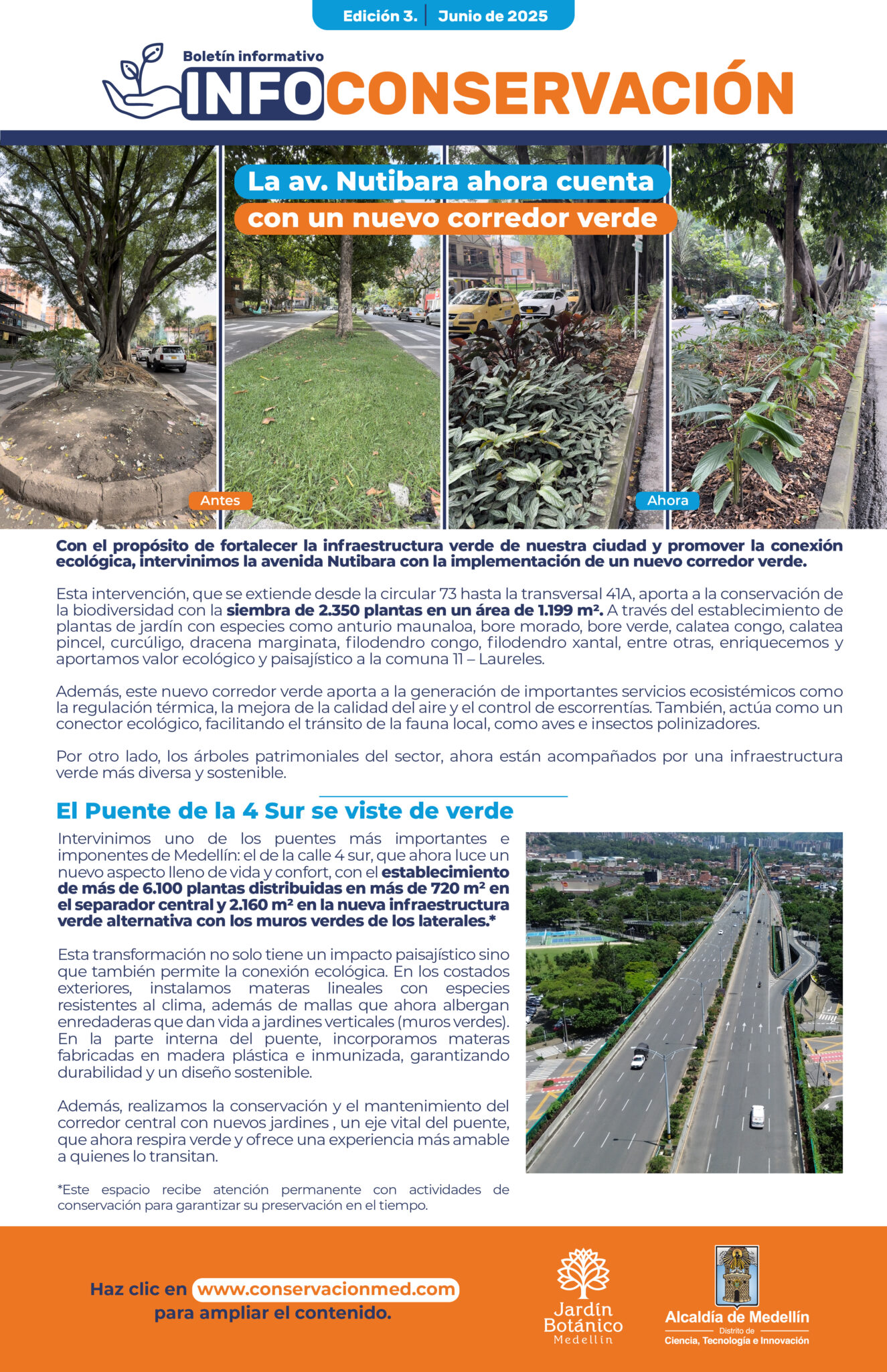 InfoConservación Ed.3 - Junio