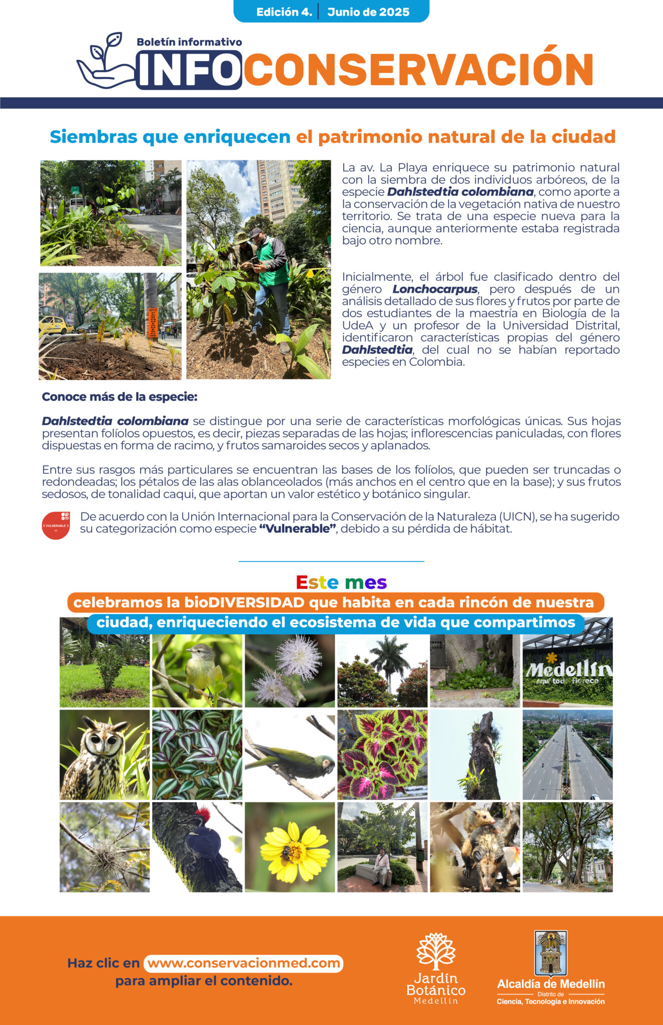 InfoConservación Ed.4 - Junio