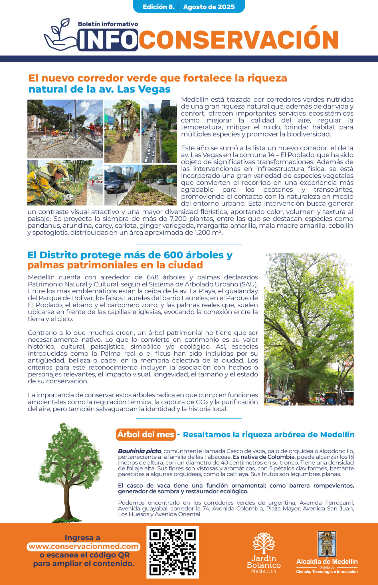 InfoConservación Ed.8 - Agosto