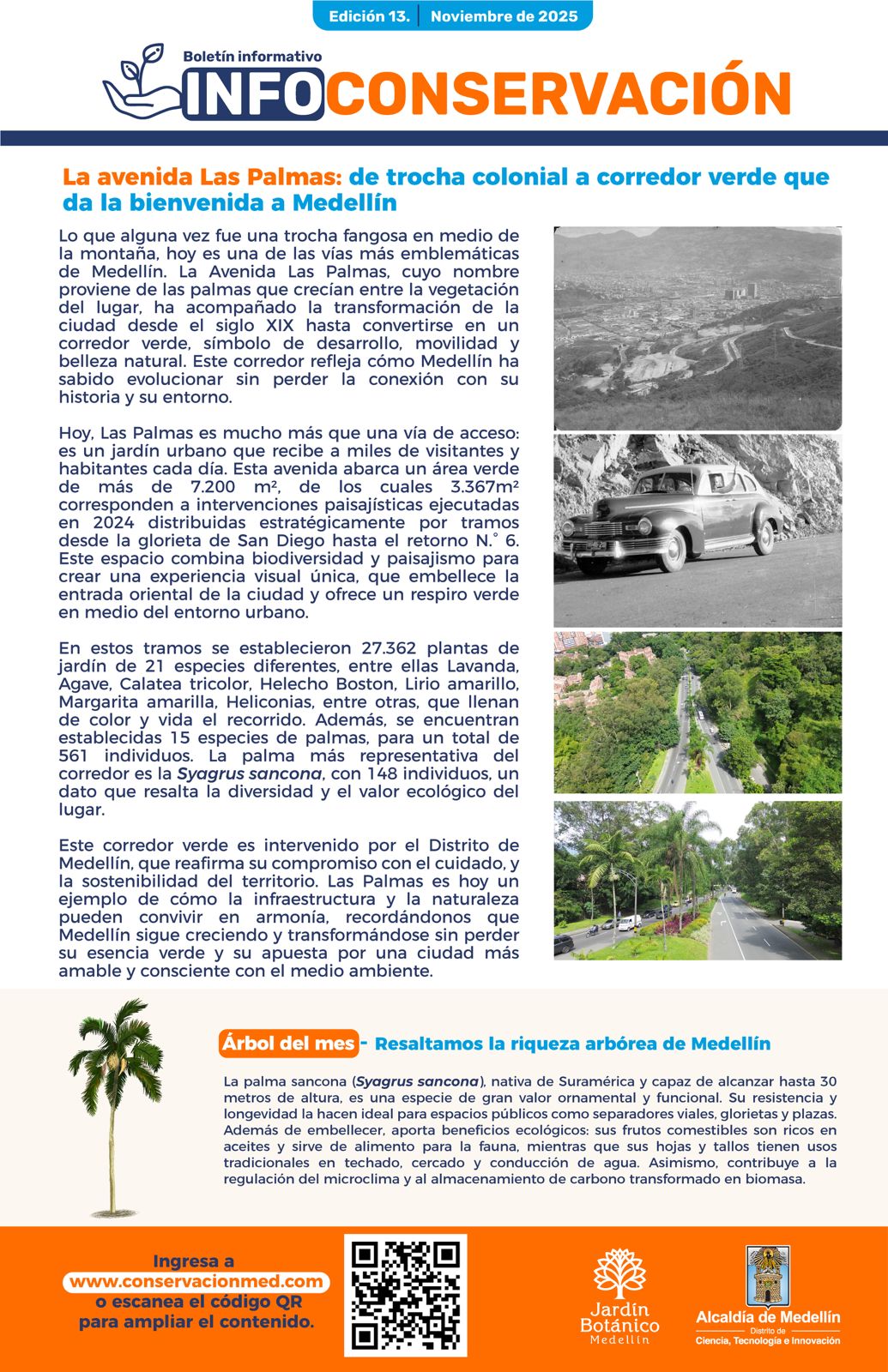 InfoConservación Ed.13 - Noviembre