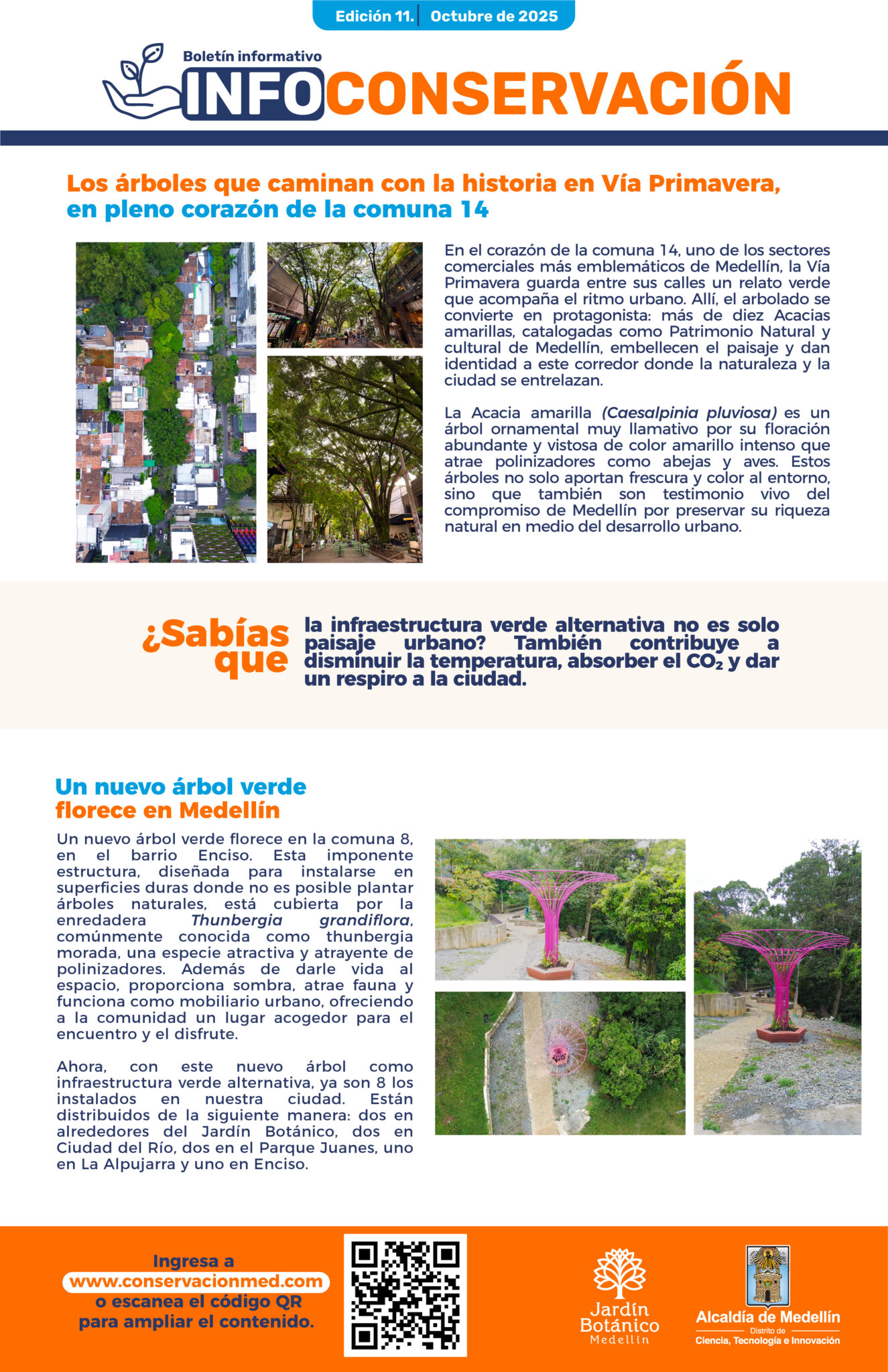 InfoConservación Ed.11 - Octubre