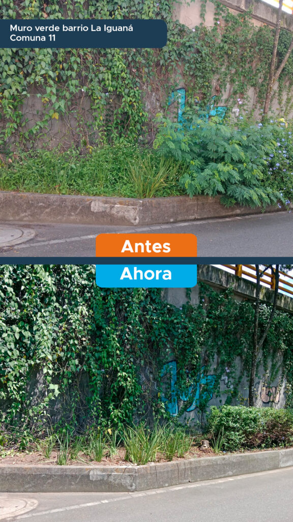 Muro verde barrio La Iguaná