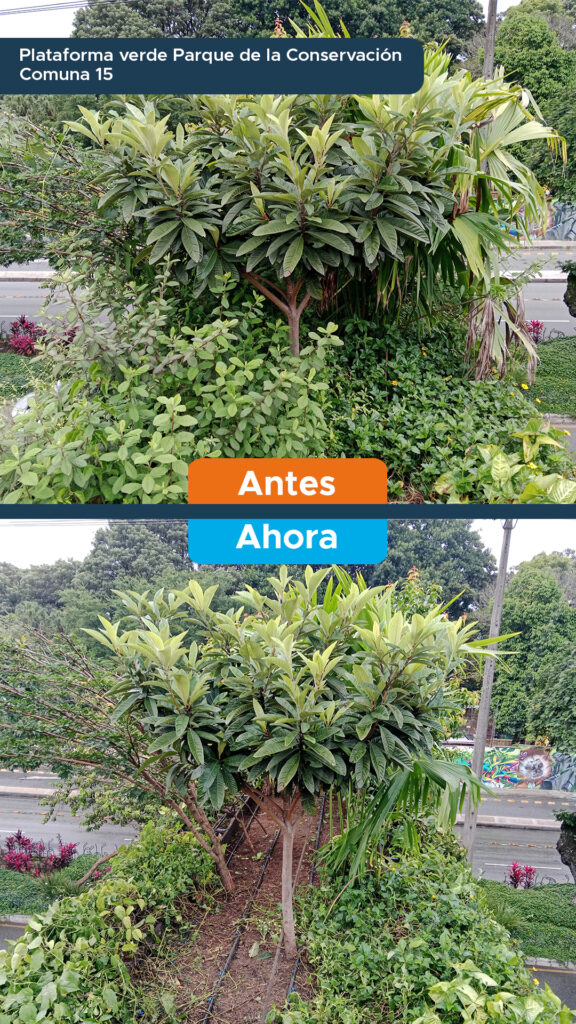 Plataforma verde Parque de la Conservación