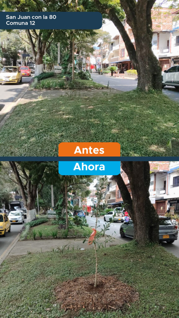 San Juan con la 80 - C12