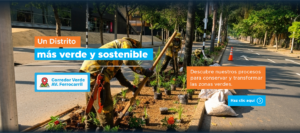 Trabajadores realizan siembra de plantas y adecuación paisajística en el corredor verde de la avenida Ferrocarril en Medellín.