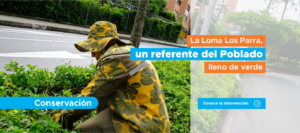 Trabajador realiza labores de mantenimiento y jardinería en las zonas verdes de la Loma Los Parra, en El Poblado, Medellín.