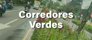 Intervención de corredores verdes en Medellín con vegetación, paisajismo urbano y mejoramiento ambiental de espacios públicos.