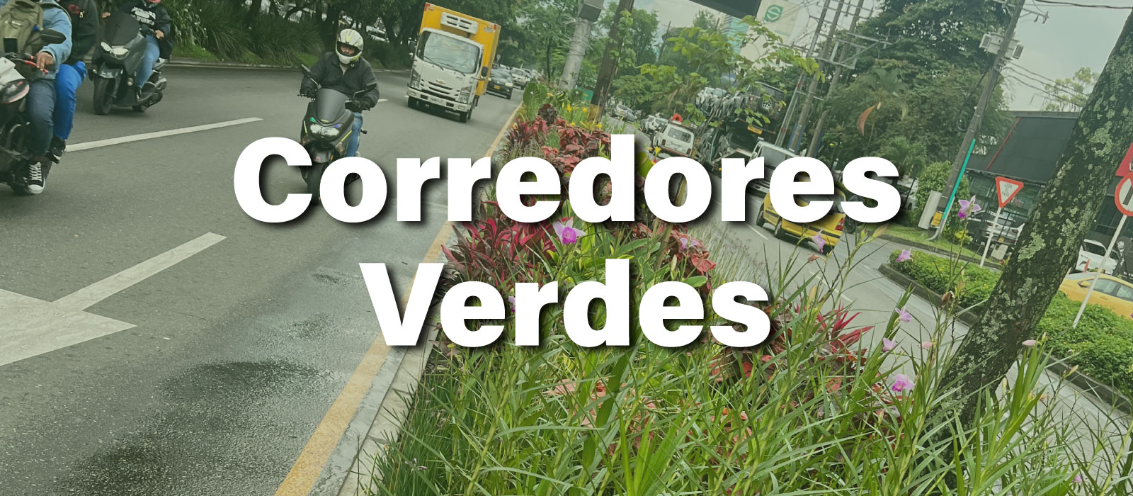 Intervención de corredores verdes en Medellín con vegetación, paisajismo urbano y mejoramiento ambiental de espacios públicos.