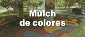 Paisajismo urbano con mulch de colores y vegetación ornamental en Medellín.
