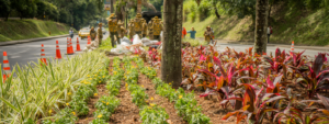 Conservacion-de-zonas-verdes-de-medellín-con-el-Jardín-Botanico