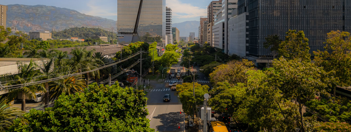 Conservacion-de-zonas-verdes-de-medellín-con-el-Jardín-Botanico