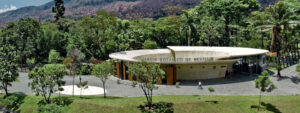 Estudios, investigaciones y publicaciones de silvicultura en medellin