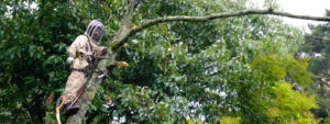 Protección y conservacion de la biodiversidad urbana medellín