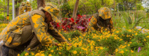 conservación de áreas verdes en El Distrito de Medellín.