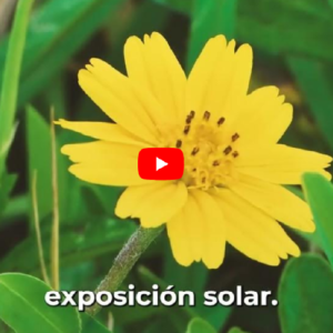contenido educativo conservacion de zonas verdes en medellín
