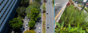 corredor verde avenidas las vegas 2026 florece
