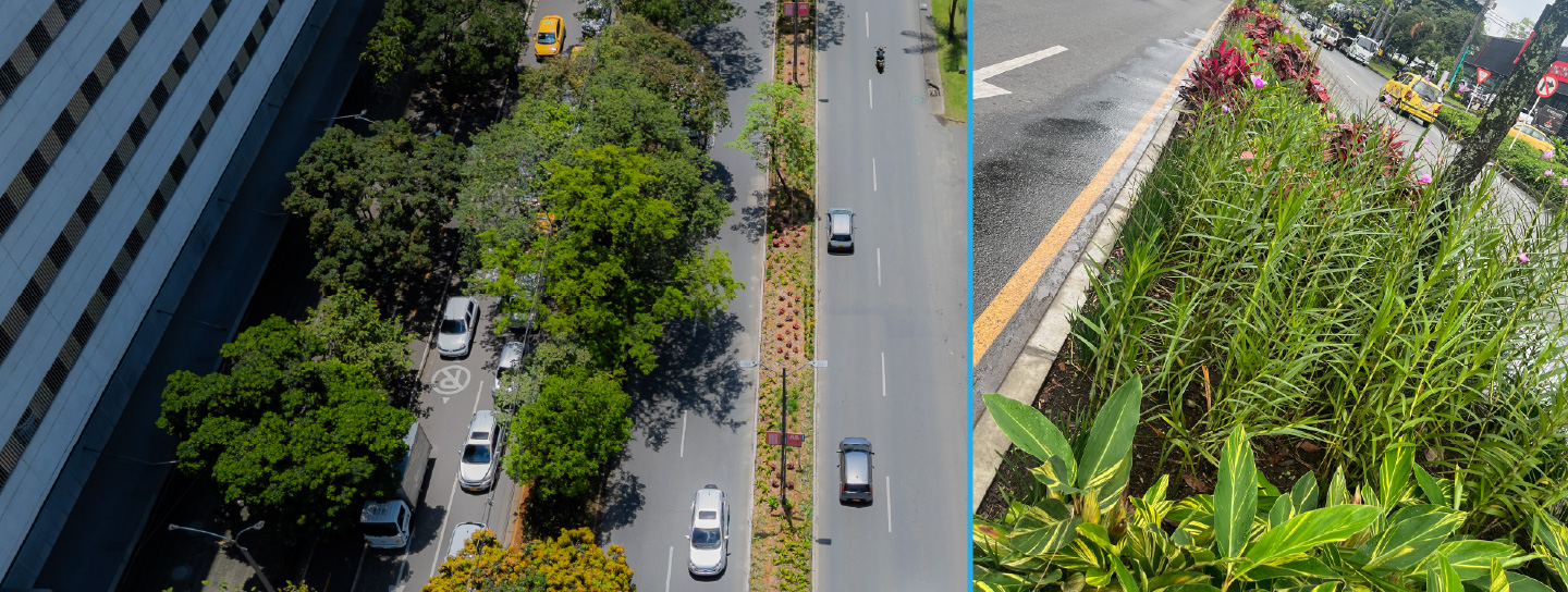 corredor verde avenidas las vegas 2026 florece