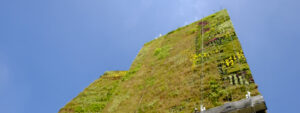 muro verde oriental de la alcaldía