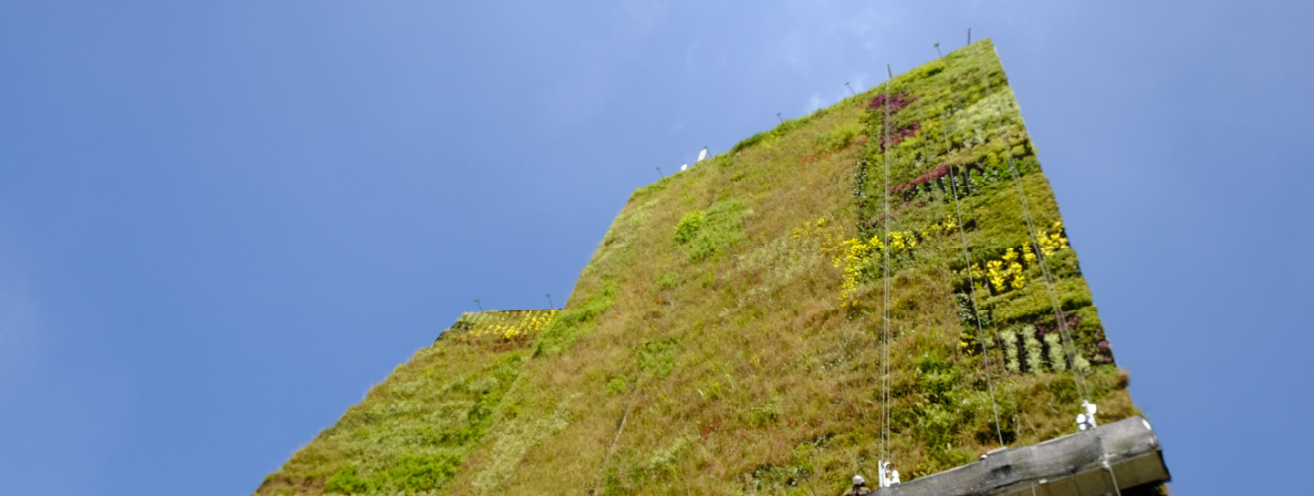 muro verde oriental de la alcaldía