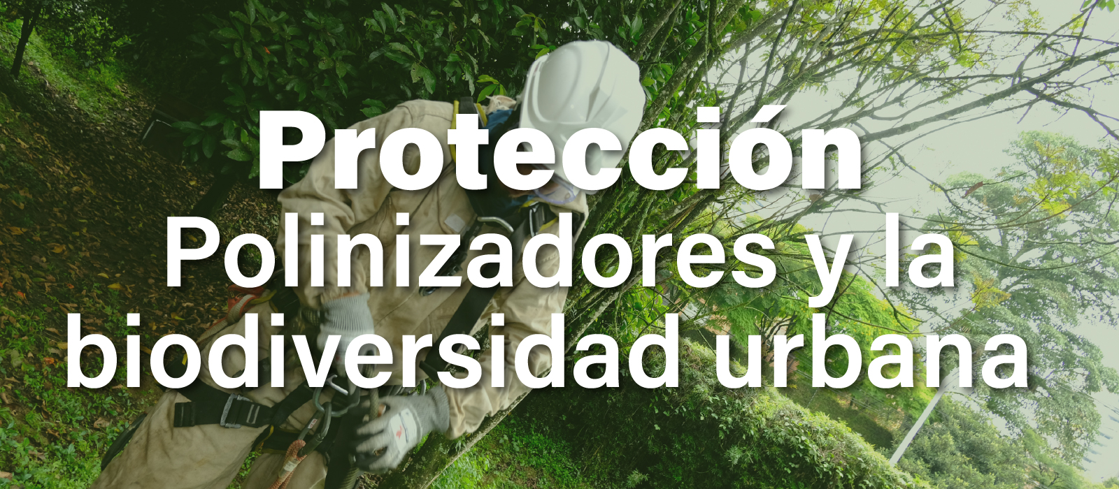 Proteccion de la biodiversidad urbana de medelin