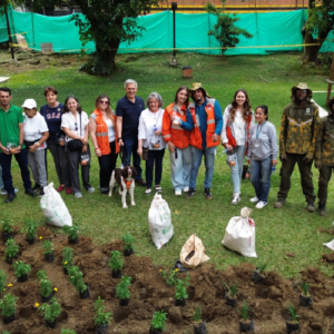 Acompañamiento social en zonas verdes de medellin