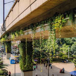 Conservación zonas verdes alternativas en medellín