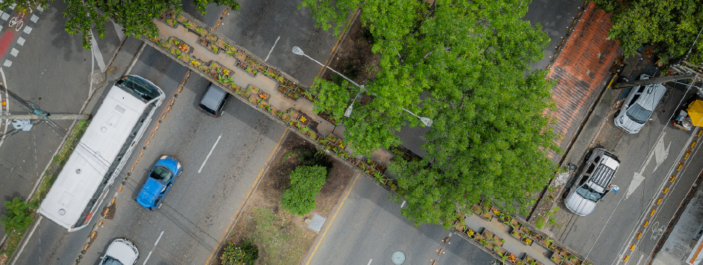 Medellín consolida sus zonas verdes como refugios para la biodiversidad urbana