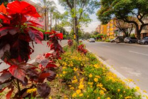 corredores verdes en la ciudad de medellin