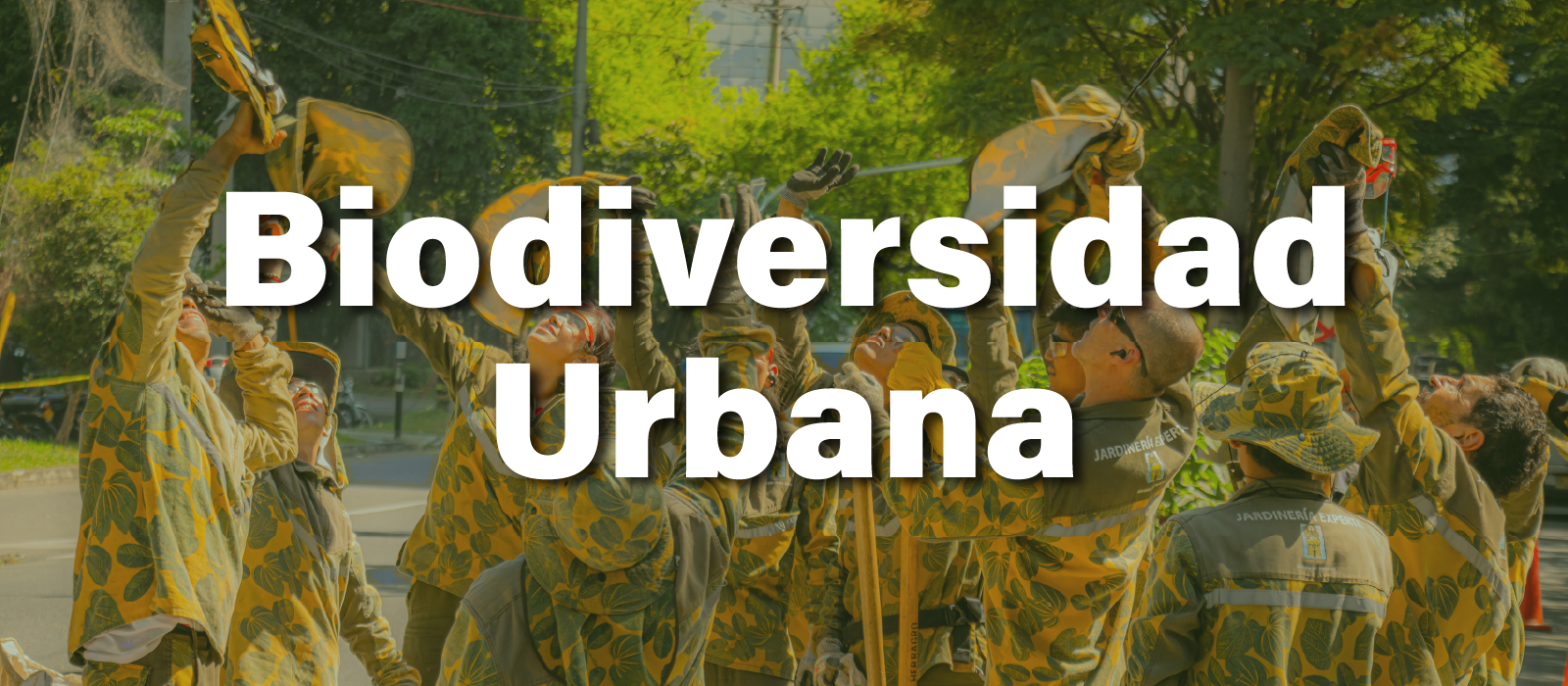 biodiversidad urbana en medellín