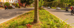 corredores verdes en la ciudad de medellin