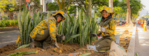 corredores verdes, transformación verde en El Distrito de Medellín