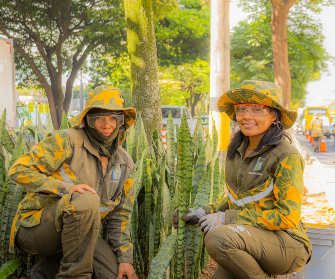 conservacion de zonas verdes de medellín
